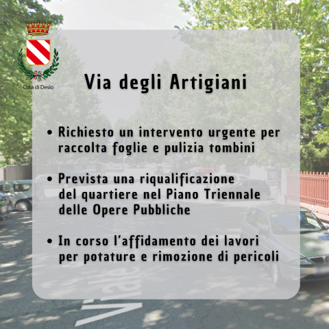 Via degli Artigiani, il problema è attenzionato. Richiesto un intervento urgente per raccolta foglie e pulizia tombini